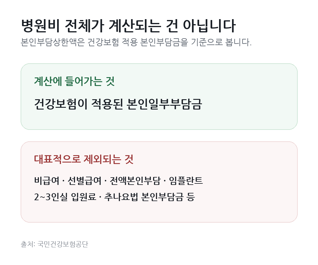 본인부담상한액 계산에 포함되는 건강보험 적용 본인부담금과 비급여·선별급여 등 대표 제외 항목을 비교한 카드