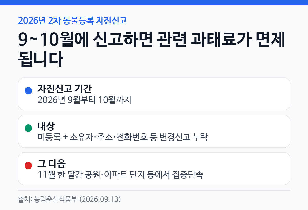 2026년 2차 동물등록 자진신고가 9월부터 10월까지 진행되고 기간 중 미등록과 변경신고 관련 과태료가 면제되며 11월에 집중단속이 이어지는 일정