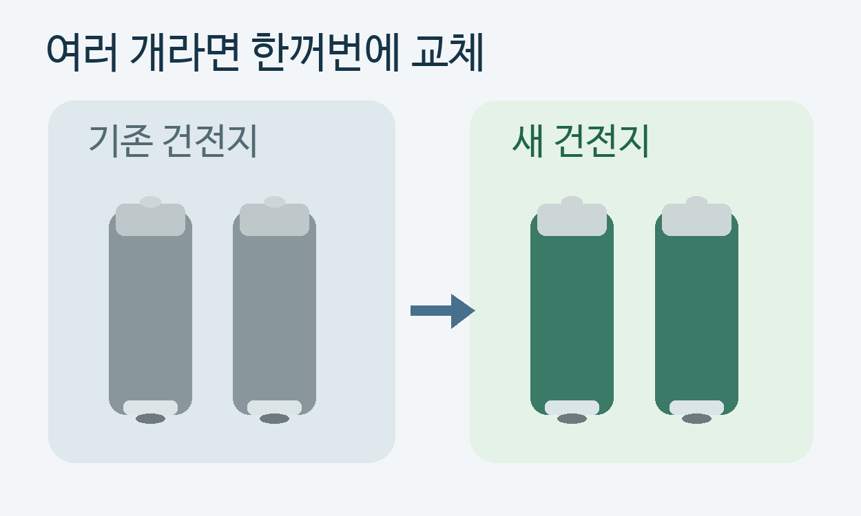 사용하던 건전지 두 개와 함께 교체하는 새 건전지 두 개
