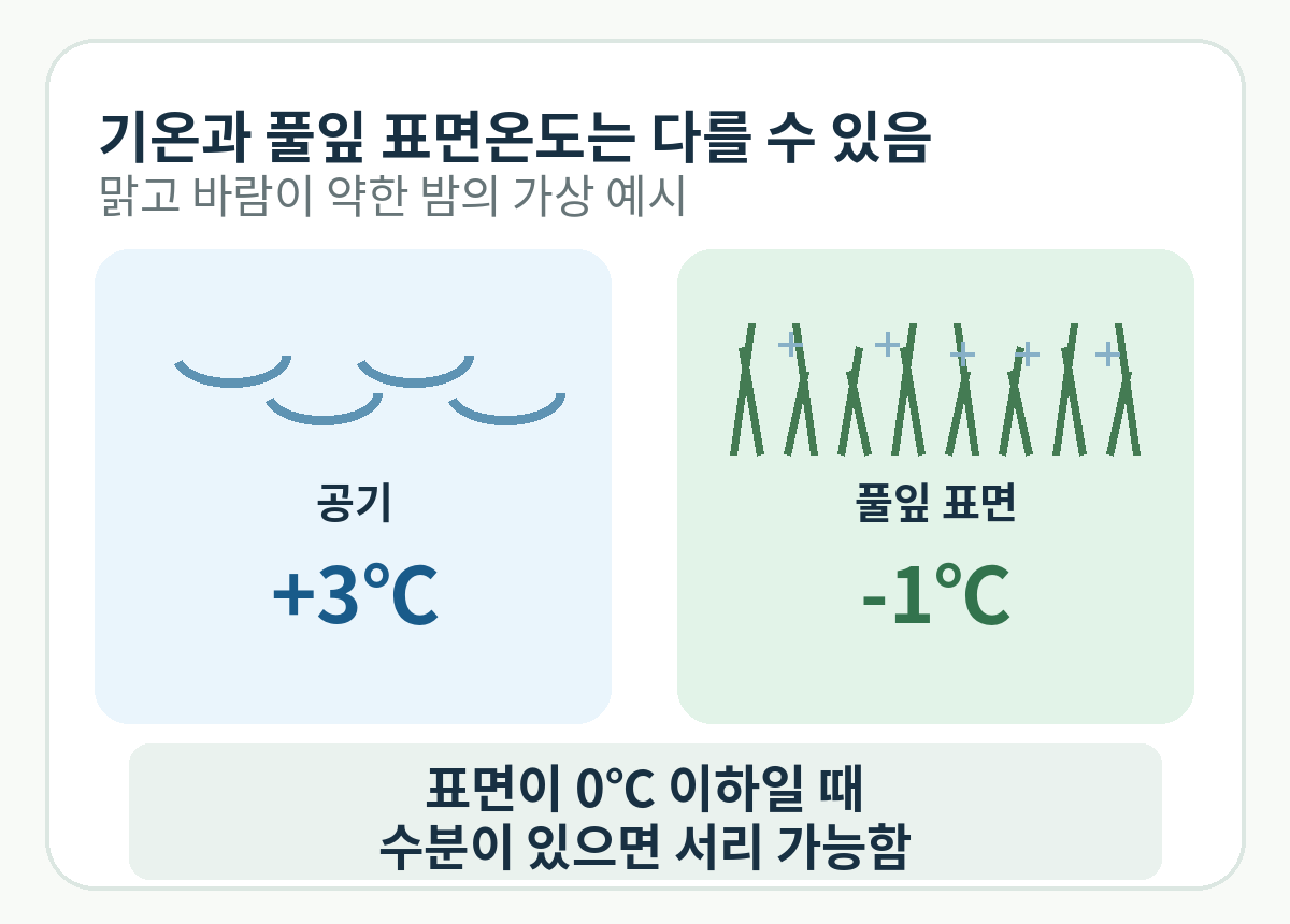 공기와 풀잎의 온도 차를 보여주는 가상 예시