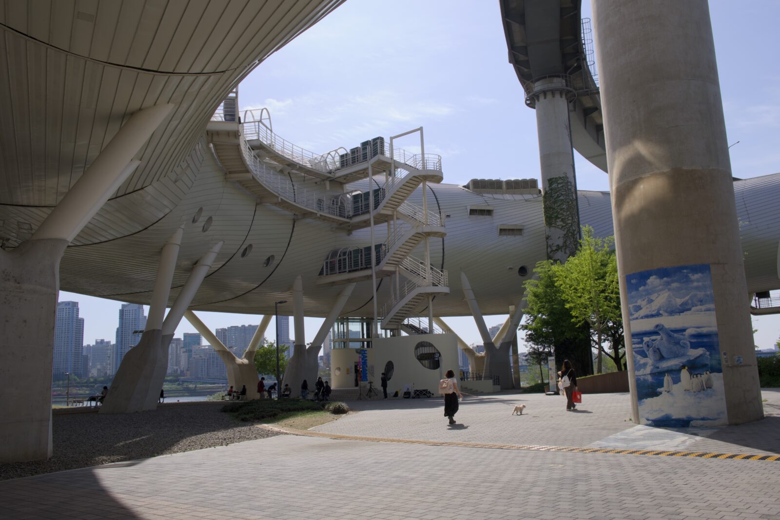 2026년 촬영한 뚝섬 자벌레와 청담대교 하부 실제 장소 자료사진
