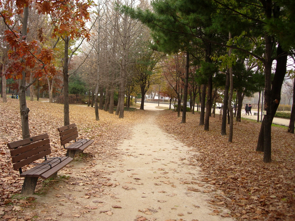2009년 촬영한 서울숲 산책길 실제 장소 자료사진